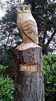 The name 'Ollie' was carved into the main section of the sculpture (October 2017) after a social media competition was held to help name the carved feature